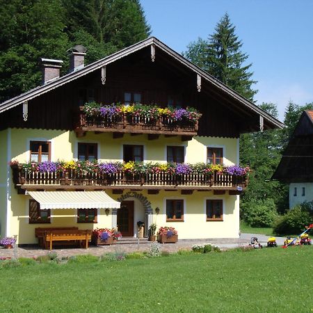 Pferdehof Almgut Lägenhet Faistenau Exteriör bild